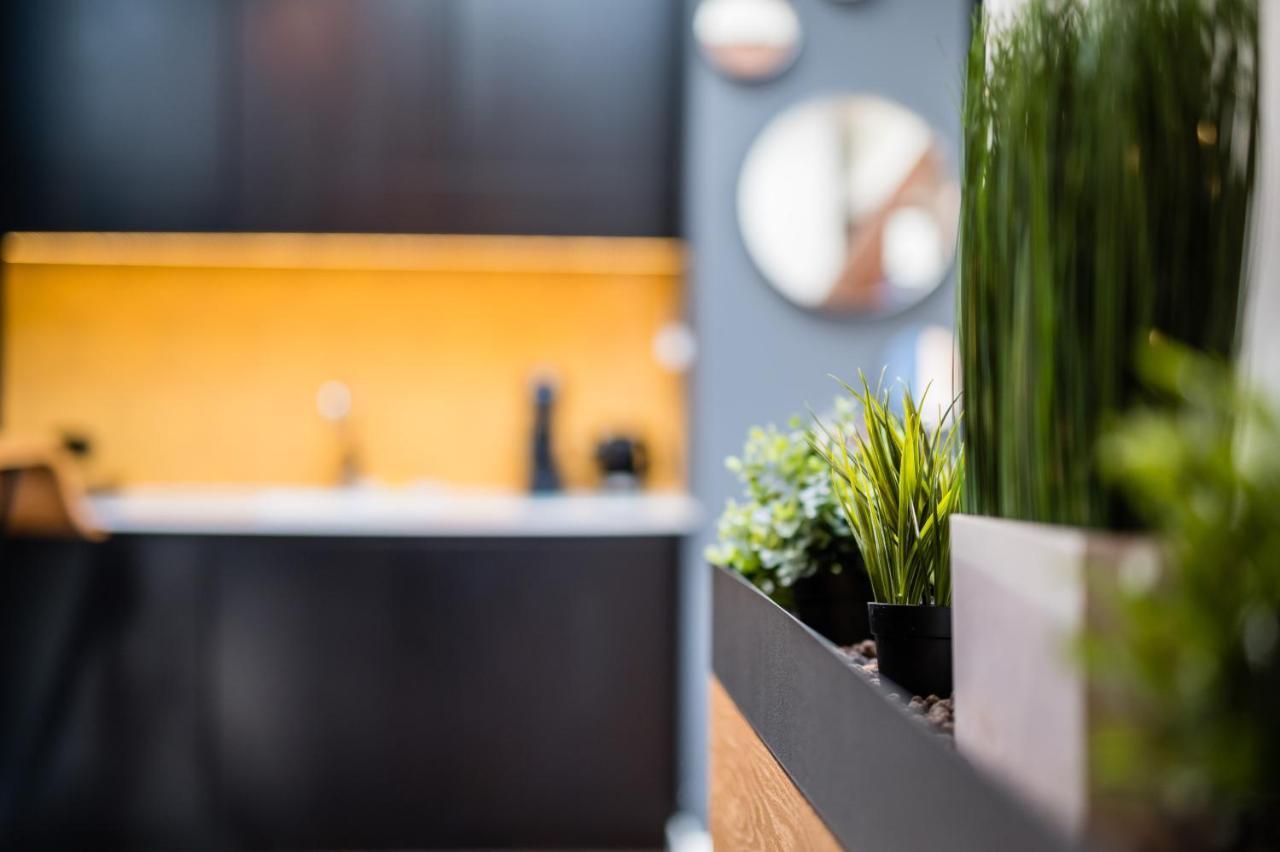 Wegierska Luxury Loft Wawelofts Apartman Krakkó Kültér fotó